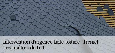 Intervention d'urgence fuite toiture 22310