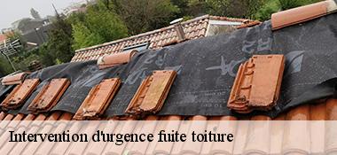 Intervention d'urgence fuite toiture   22290