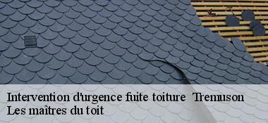 Intervention d'urgence fuite toiture 22440