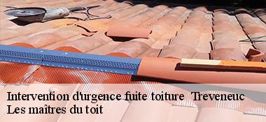 Intervention d'urgence fuite toiture   22410