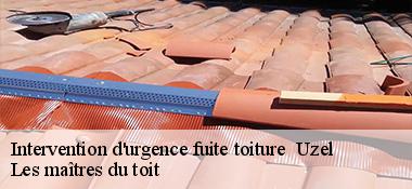 Intervention d'urgence fuite toiture 22460