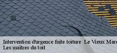 Intervention d'urgence fuite toiture   22420