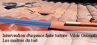 Intervention d'urgence fuite toiture   22980
