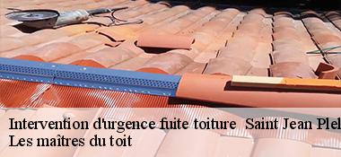 Intervention d'urgence fuite toiture   22170