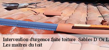 Intervention d'urgence fuite toiture   22240