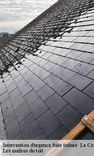 Intervention d'urgence fuite toiture   22400