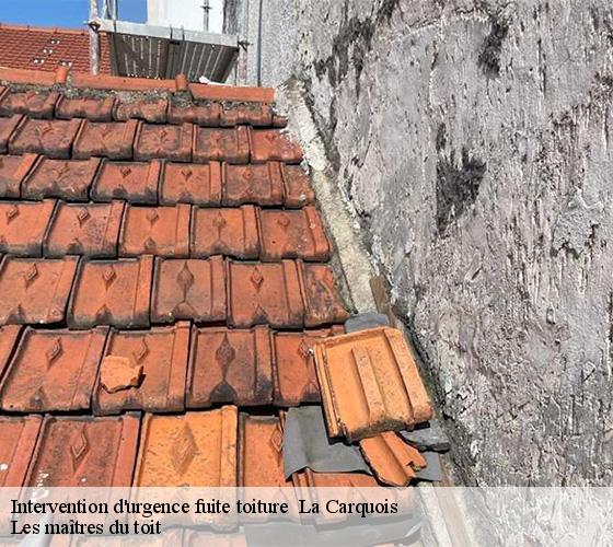 Intervention d'urgence fuite toiture   22240