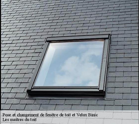Pose et changement de fenêtre de toit et Velux 22520