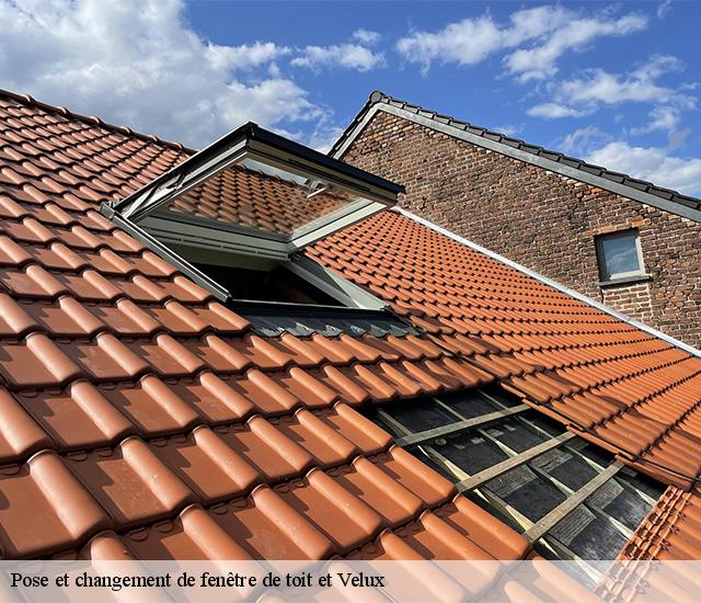 Pose et changement de fenêtre de toit et Velux  22350