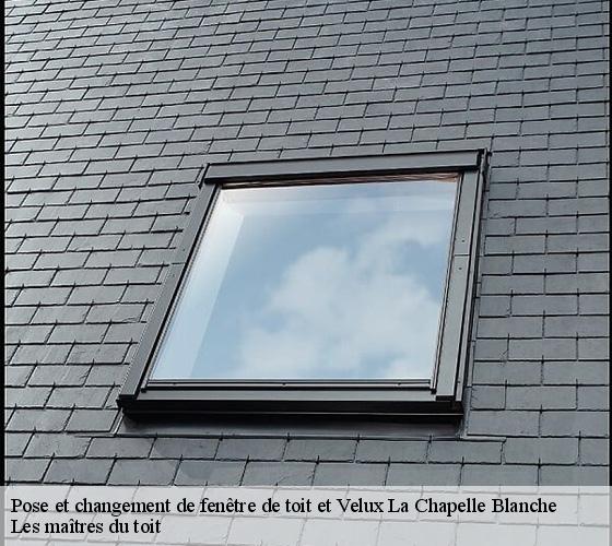 Pose et changement de fenêtre de toit et Velux  22350