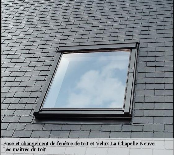Pose et changement de fenêtre de toit et Velux  22160