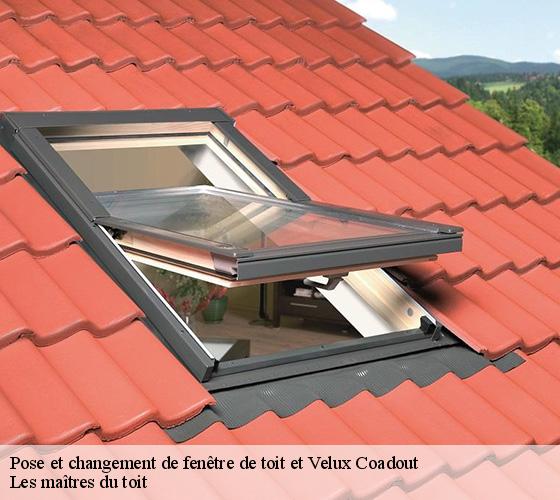 Pose et changement de fenêtre de toit et Velux  22970
