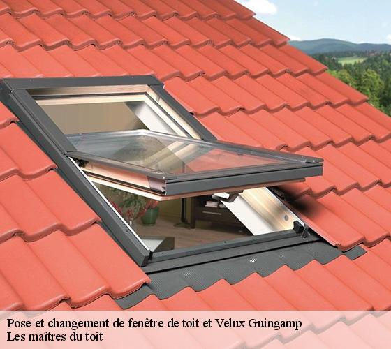 Pose et changement de fenêtre de toit et Velux  22200