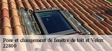 Pose et changement de fenêtre de toit et Velux  22800