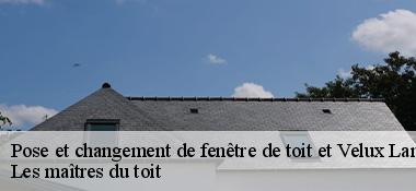 Pose et changement de fenêtre de toit et Velux 22420