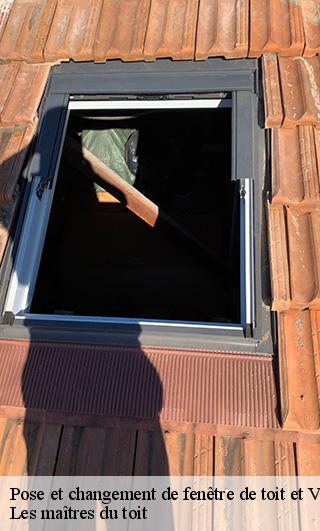 Pose et changement de fenêtre de toit et Velux  22380