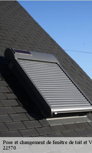 Pose et changement de fenêtre de toit et Velux 22570
