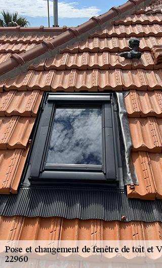 Pose et changement de fenêtre de toit et Velux  22960