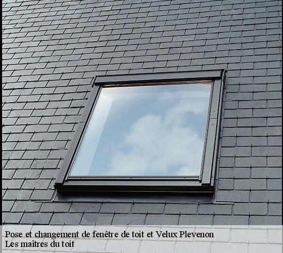 Pose et changement de fenêtre de toit et Velux 22240