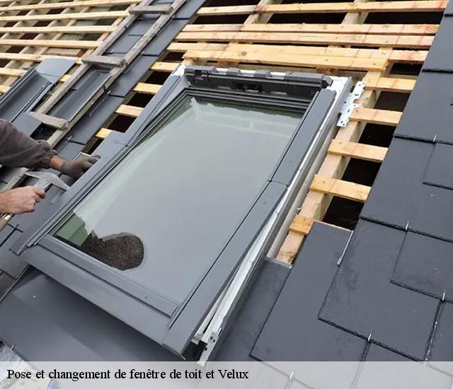 Pose et changement de fenêtre de toit et Velux 22110