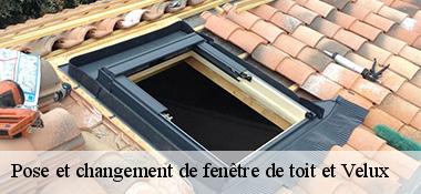 Pose et changement de fenêtre de toit et Velux  22460