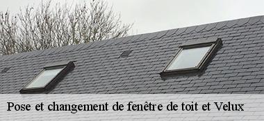 Pose et changement de fenêtre de toit et Velux 22800