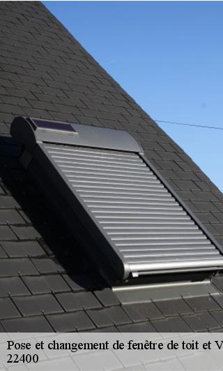 Pose et changement de fenêtre de toit et Velux 22400