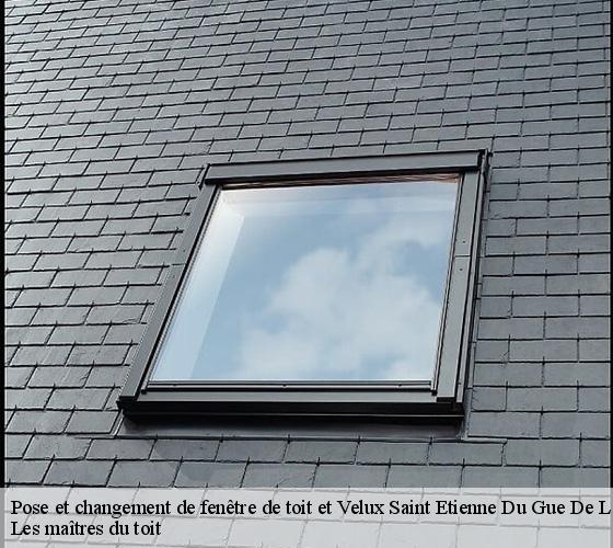 Pose et changement de fenêtre de toit et Velux  22210