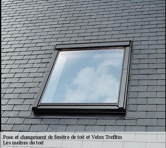 Pose et changement de fenêtre de toit et Velux 22340