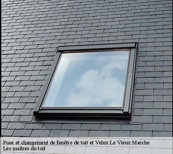 Pose et changement de fenêtre de toit et Velux 22420