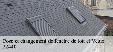 Pose et changement de fenêtre de toit et Velux  22440