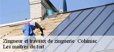Zingueur et travaux de zinguerie   22800