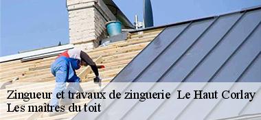 Zingueur et travaux de zinguerie   22320