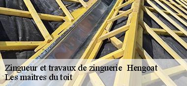 Zingueur et travaux de zinguerie   22450