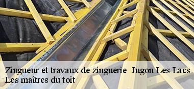 Zingueur et travaux de zinguerie   22270