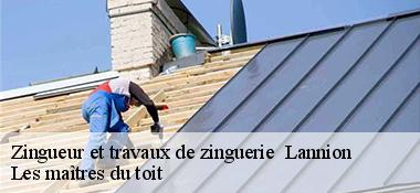 Zingueur et travaux de zinguerie   22300