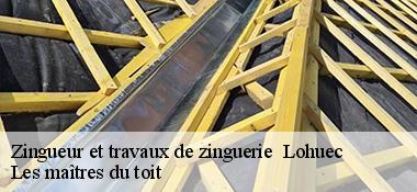 Zingueur et travaux de zinguerie 22160