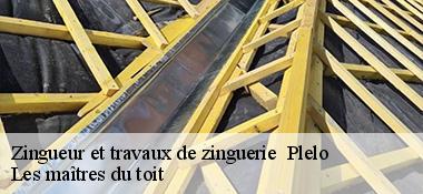 Zingueur et travaux de zinguerie 22170