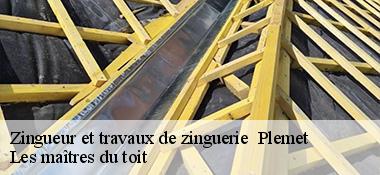 Zingueur et travaux de zinguerie   22210