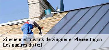 Zingueur et travaux de zinguerie   22640