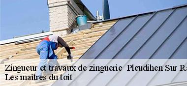 Zingueur et travaux de zinguerie 22690