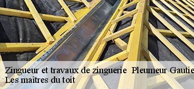 Zingueur et travaux de zinguerie   22740