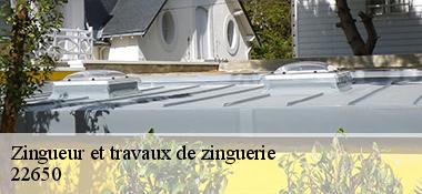 Zingueur et travaux de zinguerie   22650