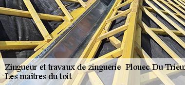 Zingueur et travaux de zinguerie 22260