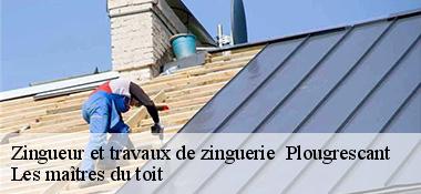Zingueur et travaux de zinguerie   22820