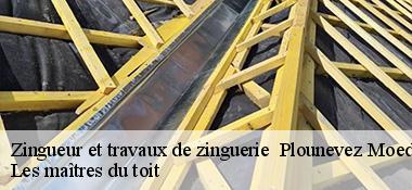 Zingueur et travaux de zinguerie   22810