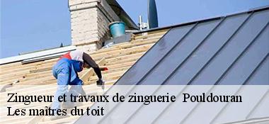 Zingueur et travaux de zinguerie   22450