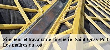 Zingueur et travaux de zinguerie 22410