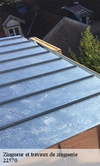 Zingueur et travaux de zinguerie   22570