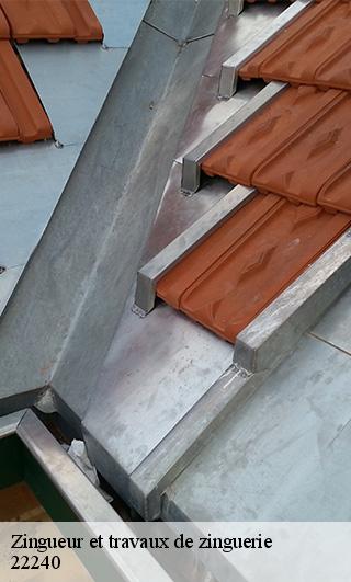Zingueur et travaux de zinguerie   22240